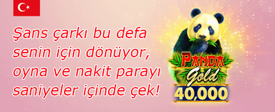 Sıcak Slotlar Bedava Dönüş promotion